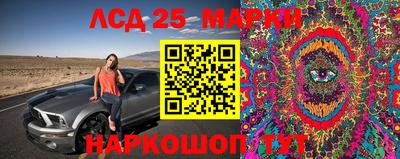 прущие крисы Можга