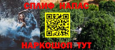 прущие крисы Можга