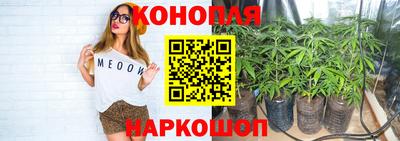прущие крисы Можга