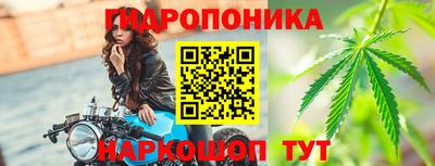 прущие крисы Можга
