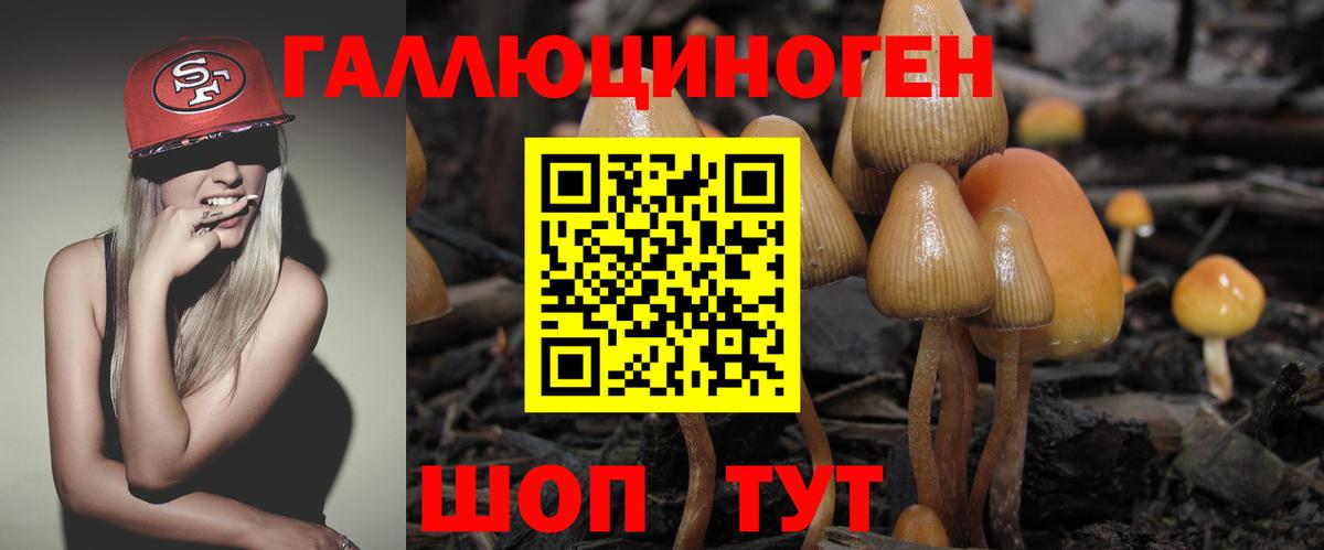 Псилоцибиновые грибы мухоморы Чапаевск